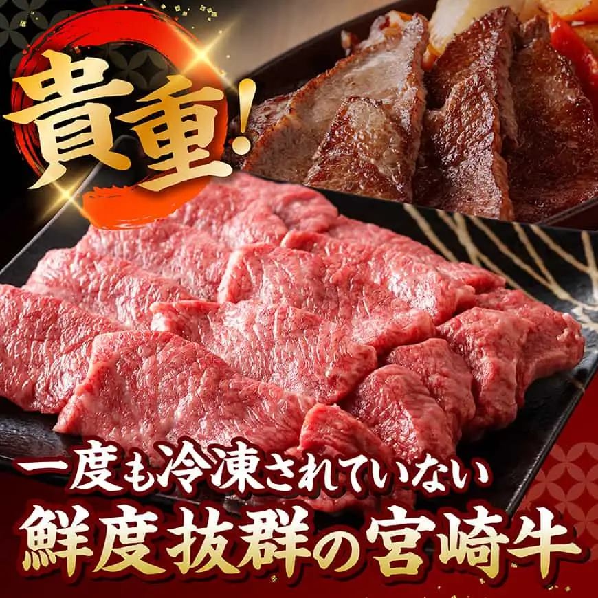 【A5等級】【新鮮チルド便】宮崎牛上カルビ焼肉 600g 【 肉 宮崎 焼肉 牛肉 おかず A5 】