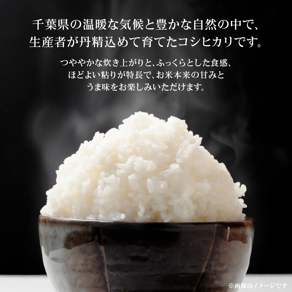 【先行予約・9月より順次配送】令和8年産 千葉県産 コシヒカリ 精米20kg TAKA010