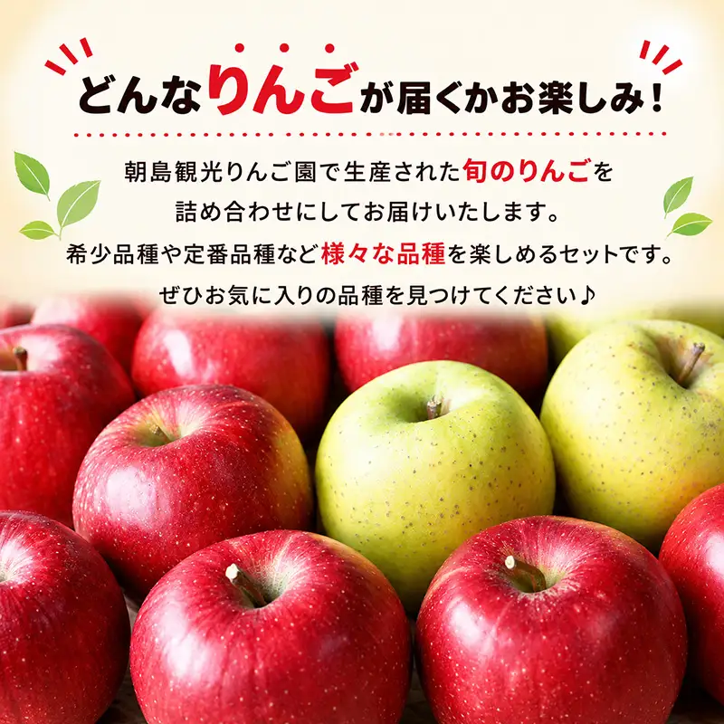【先行予約】旬の盛岡りんご 詰め合わせ 品種おまかせ 約3kg 8～12玉 朝島観光りんご園 asashima003 りんご