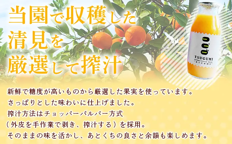 ＜TSUGUMI 清見ジュース 180ml×6本＞『1か月以内に順次出荷予定』清見 きよみ キヨミ 柑橘 みかん ミカン オレンジ 新鮮 ジュース ソフトドリンク 飲んで応援 お祝い 内祝い ギフト 贈答 贈り物 プレゼント 特産品 ひさしげ農園 愛媛県 西予市【常温】MHS0013
