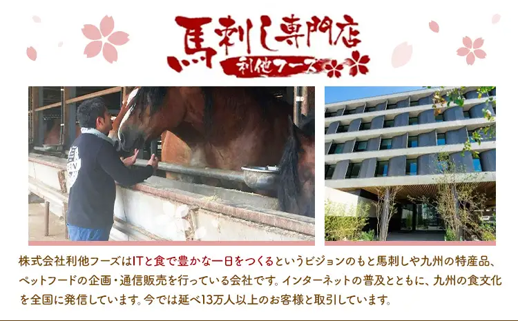 馬刺し 熊本 ならでは 霜降り馬刺し たっぷり 500g 株式会社利他フーズ《60日以内に出荷予定(土日祝除く)》 霜降り 中トロ 海外産 国内肥育 冷凍 生食用 肉 馬肉 ふるさと納税馬刺し 熊本県 津奈木町 送料無料 馬刺 ばさし 名物