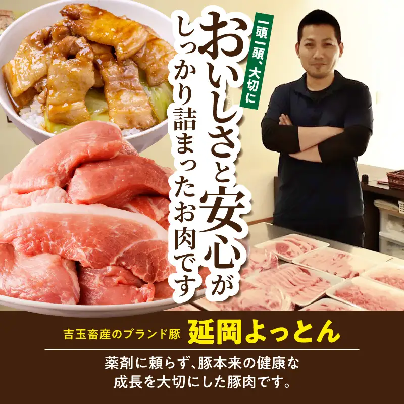 延岡よっとん＆宮崎県産豚 皿盛り2皿セット 各600g×1 N0220-YA5536