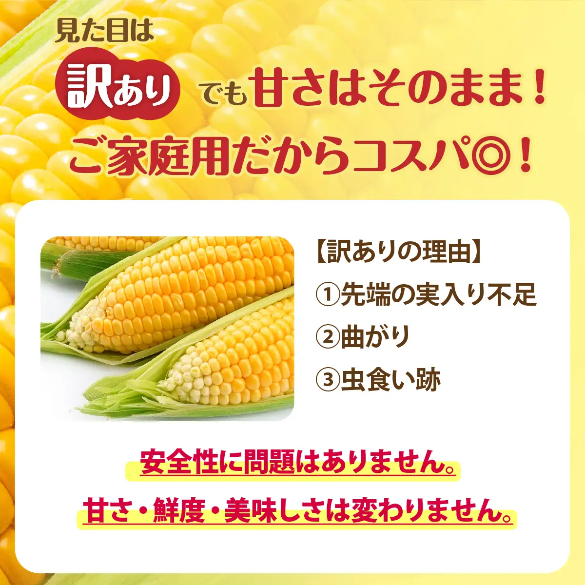 【先行予約】 訳あり 北海道七飯町産 とうもろこし 「朝採れゴールドラッシュ」18～25本（L～2L） NAZ029 | とうもろこし