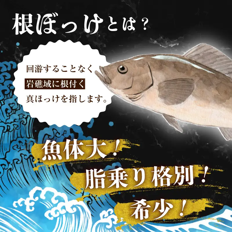 函館根ぼっけ開き焼き 根ぼっけ刺身セット 厳選 北海道産 ほっけ 開き 半身 刺身 瞬間冷凍 函館市 送料無料_HD260-001