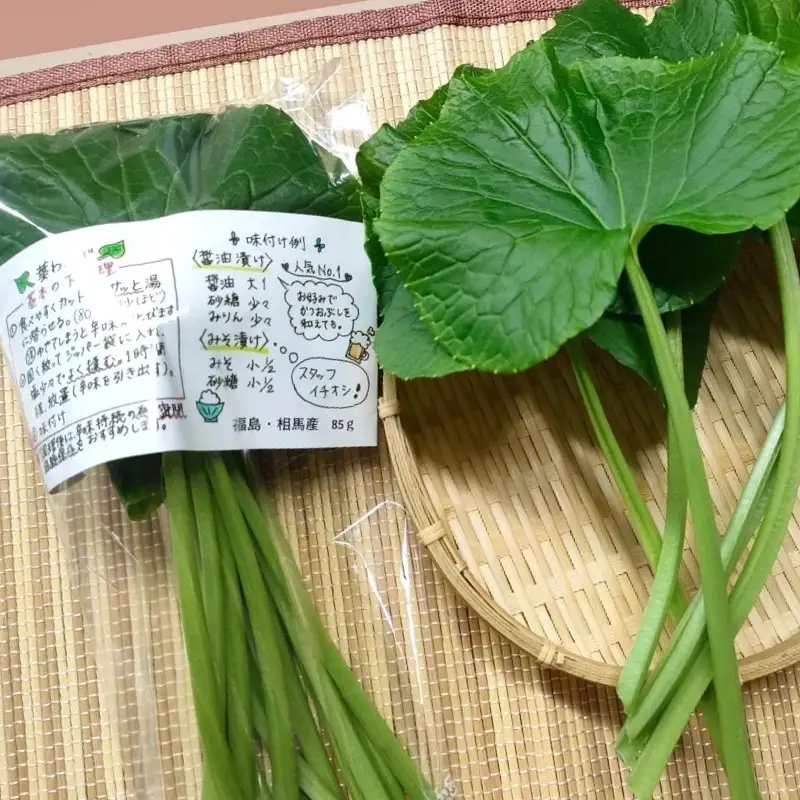 旬の相馬 葉わさび 約85g  薬味 野菜 食品 FAI-0042