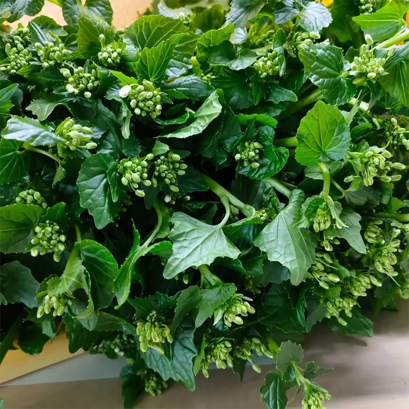 旬の相馬 花わさび 約85g  薬味 野菜 食品 FAI-0043