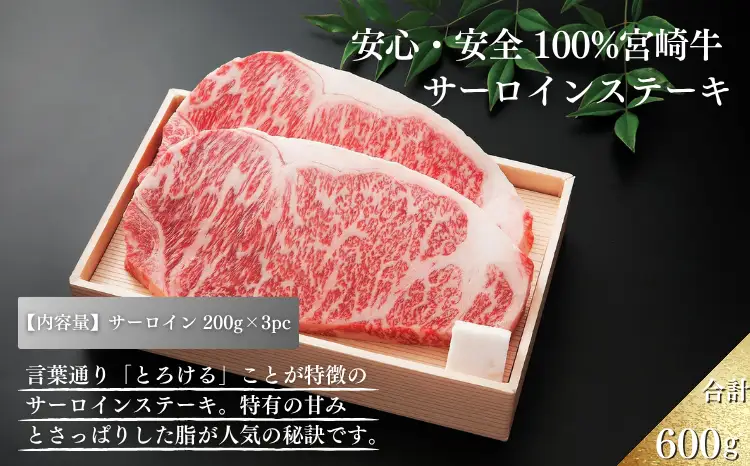 厳選 江田和牛 サーロインステーキ 600gセット(200g×3枚)  日本一のブランド牛「宮崎牛」 [希少 国産 黒毛和牛 冷凍 ギフト A5 牛肉 お肉 宮崎県 ワンストップオンライン対応] TF0695-P00051