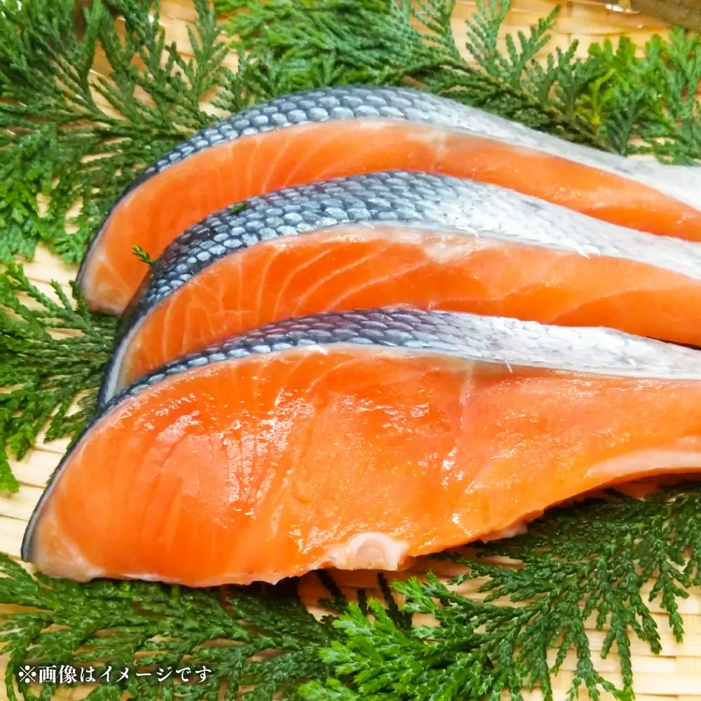 【 訳あり 】 プレミアム1級品 厚切り塩銀鮭 切り身 1kg 鮭 銀鮭 塩鮭 しゃけ シャケ さけ サケ 魚 切身 訳アリ 厚切 冷凍 バラ冷凍 おかず