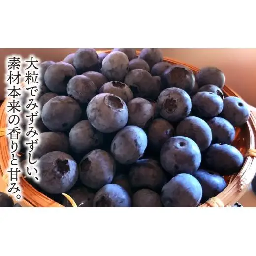 【岐阜県垂井町産】 朝摘み完熟ブルーベリー 生果 500g（125g×4パック）| ブルーベリー 生果 木の実  果実 朝摘み 完熟 甘酸っぱい ジャム デザート 産地直送
