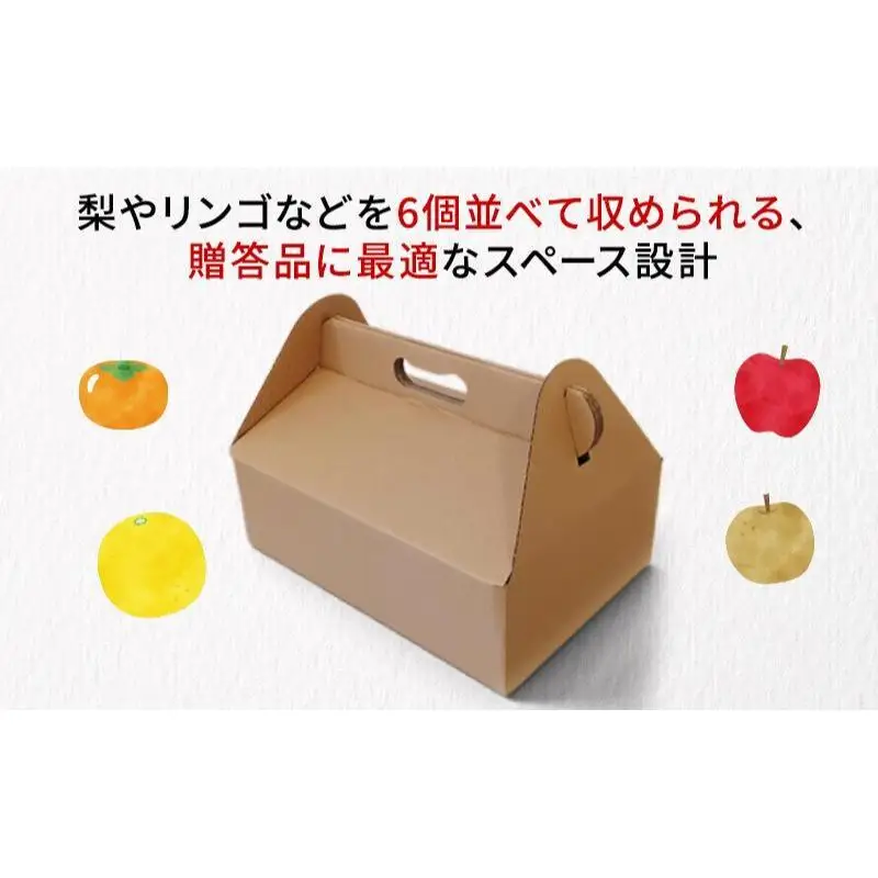 贈答用段ボールケース（果物）10ケース 箱 ダンボール フタ付き 贈答用 ギフト 果物 フルーツ 梨 リンゴ アウトドア ピクニック お弁当 組み立て簡単 道具不要 静岡県 森町