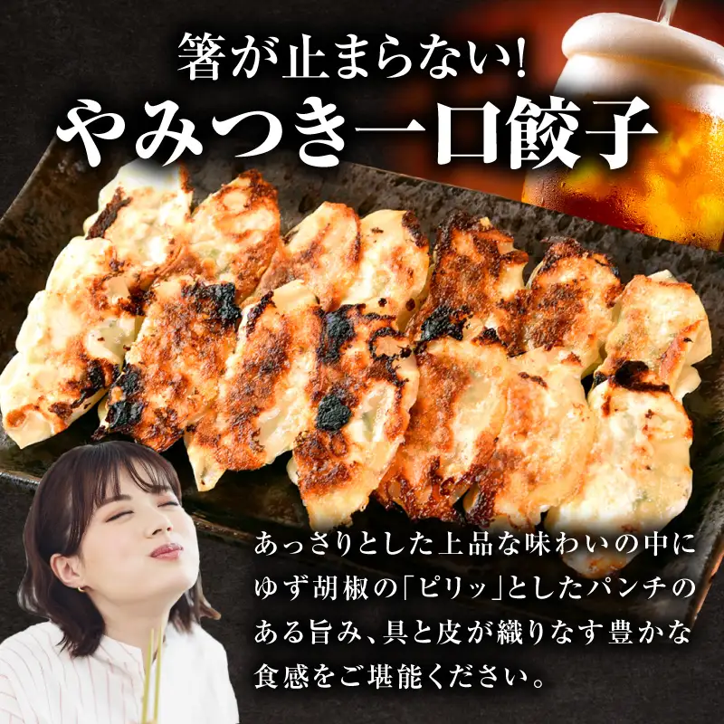 【4回定期便】一口餃子 100 個入りタレ２個（3か月に1回お届け）_kn107-t005