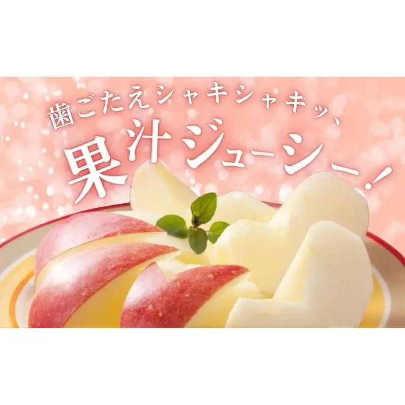 訳あり りんご 長野 リンゴ シナノリップ 約3kg （12玉） 産地直送  フルーツ 果物 デザート おやつ 林檎 旬 信州 長野県 長野県産 駒ヶ根市 上伊那産