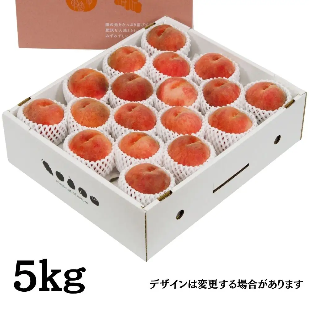 山形県産 白桃 ご家庭用 5kg （12玉～25玉）【2026年8月上旬から9月中旬発送】 山形県 果物 フルーツ 桃 モモ もも 夏 送料無料