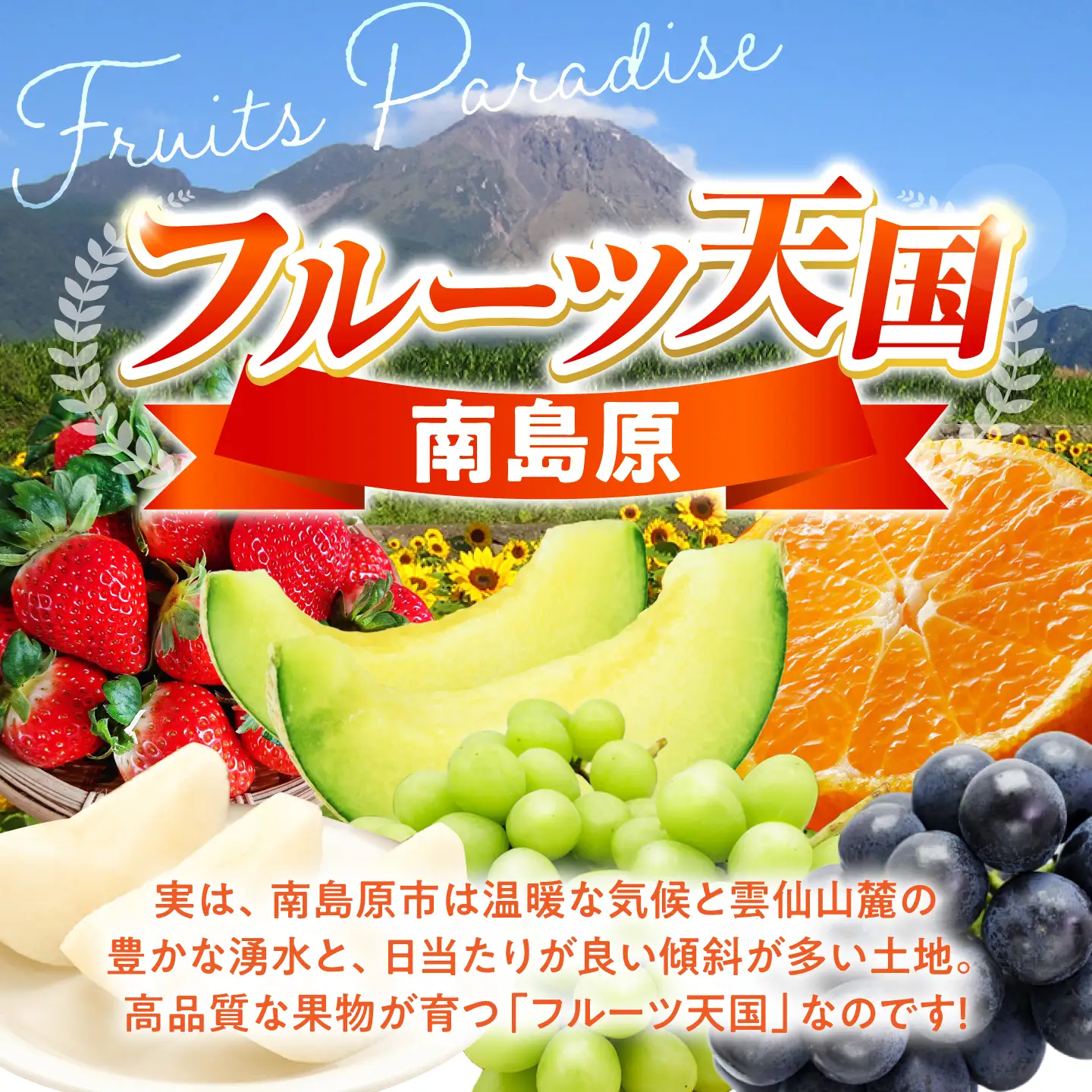【9回コース】果物屋が選ぶ旬のフルーツ定期便 いちご メロン びわ みかん 梨 柿 など / 南島原市 / 贅沢宝庫[SDZ061]