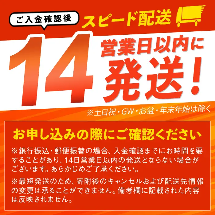 【14営業日以内に発送予定】手作りスコーン6種+ミニスコーン3種詰め合わせセット＜計15個入＞ スコーン おやつ お菓子 菓子 洋菓子 【社会福祉法人楽晴会】【ms31-01】