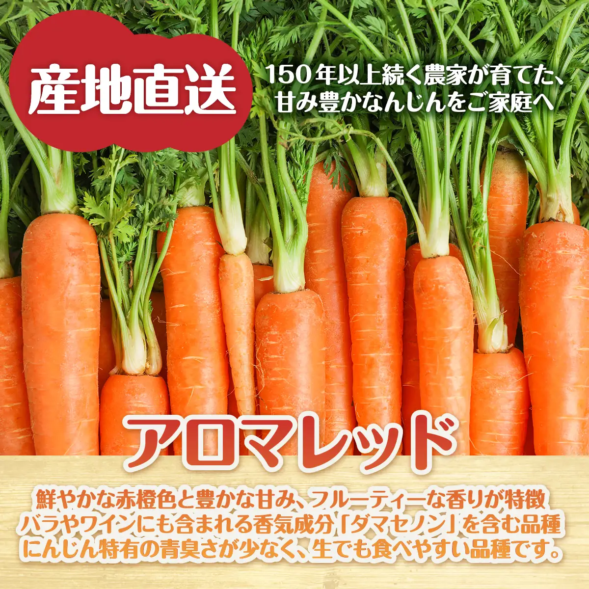 【先行予約】 北海道七飯町産 にんじん 「アロマレッド5kg」（M～L） NAZ030 | にんじん