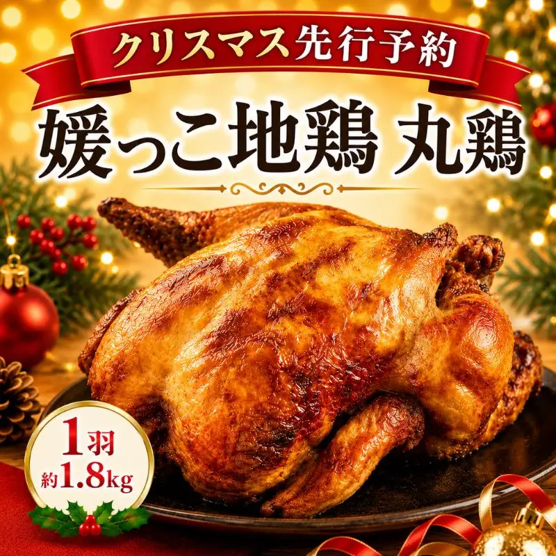 【 2026年 クリスマス 先行予約 】 媛っこ地鶏 丸鶏 約 1.8kg まるごと 鶏肉 鳥肉 肉 チキン むね肉 もも肉 クリスマス ローストチキン ごちそう 愛媛県 愛南町 ローカルスタンダード