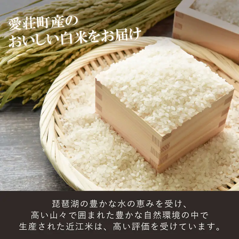 滋賀県産 白米 5kg 近江米 歓喜の風 お米 米 令和7年産 7年産 こめ コメ ライス ご飯 ごはん 単一米 近江 精米 滋賀 愛荘