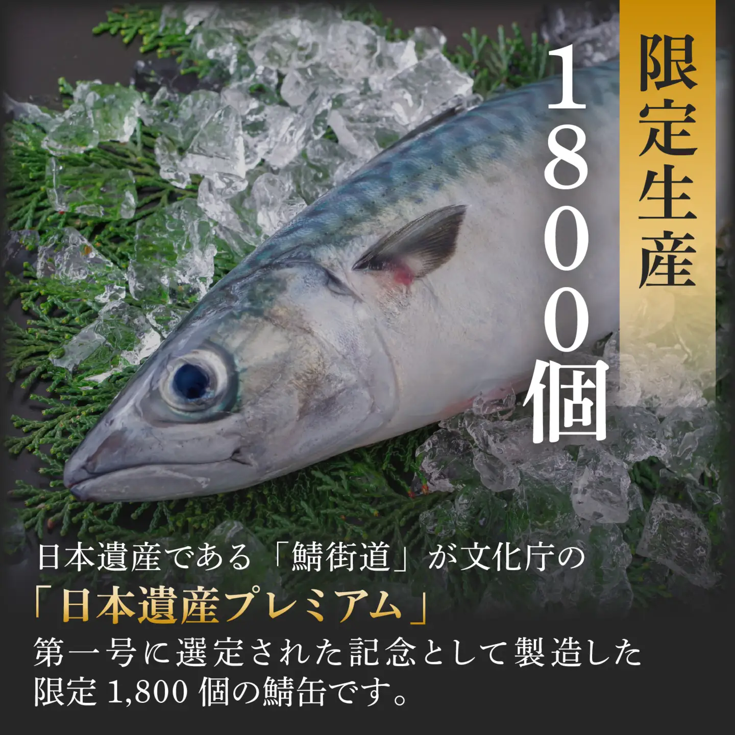 葛川のサバかん（さば味噌煮）5缶セット[EF001] | 鯖缶 さば味噌煮 缶詰