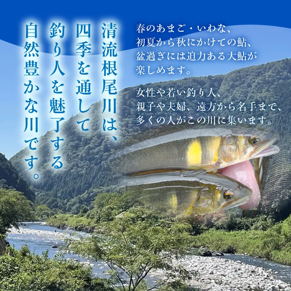 【一般（女性） あゆ＆渓流魚 年間遊漁証引換券（令和８年シーズン用）】 釣り あゆ 鮎 あゆ釣り 鮎釣り 年間遊漁証引換券 年券 チケット 引換券 根尾川筋漁業協同組