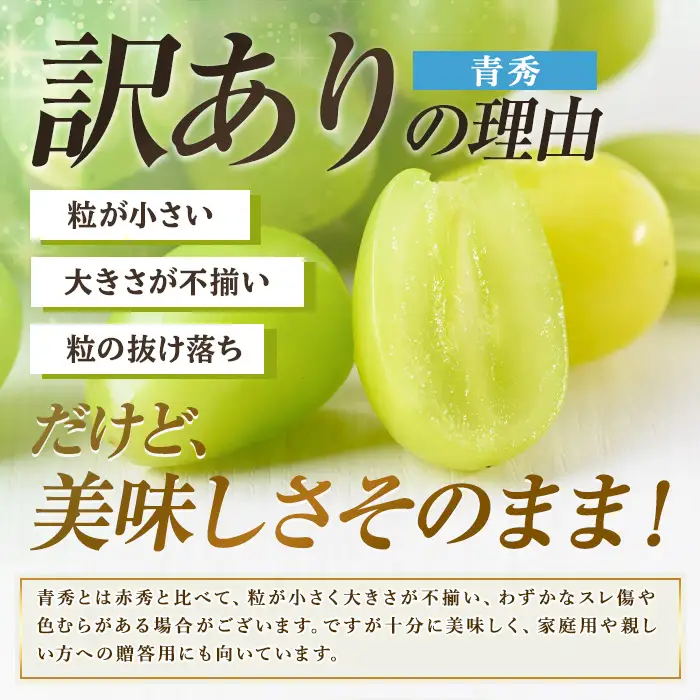 ＜訳あり＞シャインマスカット(青秀) (約2kg) ＜先行予約受付中！2026年8月下旬から順次発送予定＞ ＜北海道 沖縄 離島配送不可＞ぶどう 葡萄 フルーツ 青秀 【106301400】【大分県農業協同組合 北部エリア】