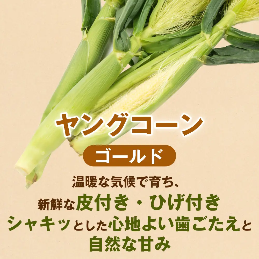 ［食卓を彩る希少な季節野菜］潮風ベイビー 4.5kg ヤングコーン ゴールド ベビーコーン グリル 付け合わせ野菜 BBQ 焼き野菜 和歌山県 白浜町