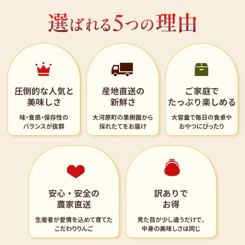 ★数量限定★ 幻のりんご こうとく (高徳) 3kg 蜜入り 希少 高級 果物 フルーツ 先行予約 宮城県 大河原町 リンゴ 林檎 くだもの 送料無料