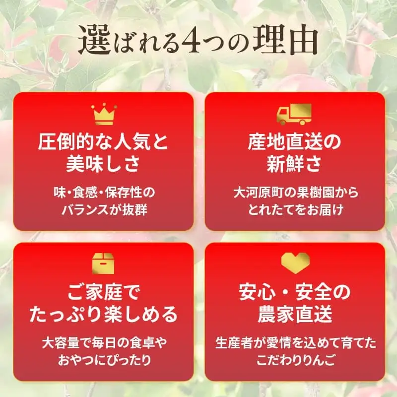 人気No.1 りんご ふじ 5kg 果物 フルーツ 先行予約 単品 定番 宮城県 大河原町 リンゴ 林檎 くだもの 大容量 送料無料