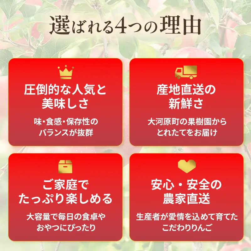 人気No.1 りんご ふじ 10kg 果物 フルーツ 先行予約 単品 定番 宮城県 大河原町 リンゴ 林檎 くだもの 大容量 送料無料