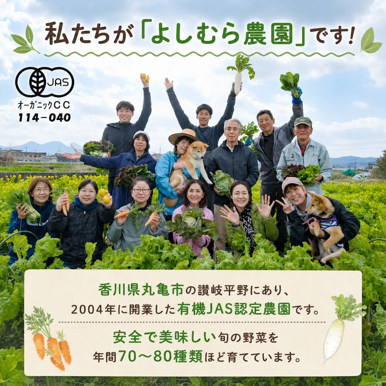 訳あり 野菜セット 有機野菜 オーガニック