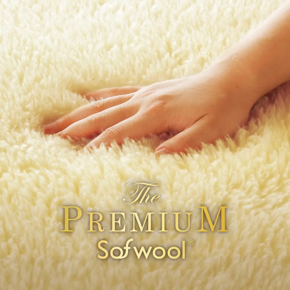 THE PREMIUM Sofwool 2 掛け毛布 シングル
