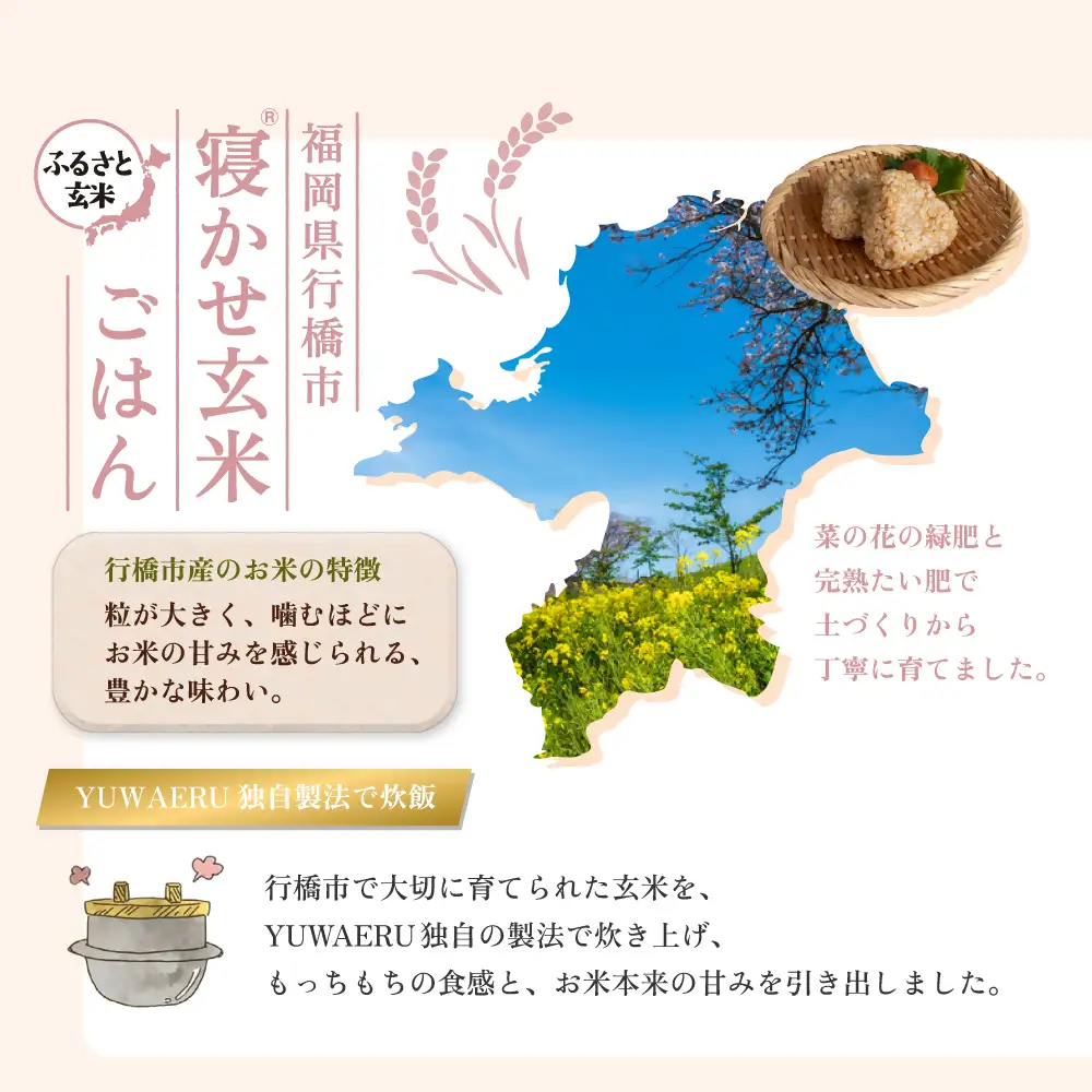 AI-187_【ふるさと玄米】寝かせ玄米ごはんパック　福岡県行橋市産【160g×6食セット】
