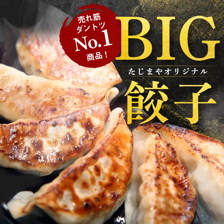 【定期便6回】たじまや オリジナル ビッグ 餃子 大きい 20個