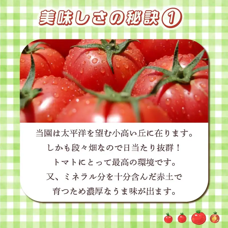 【2027年2月発送】大玉トマト3kg 大 10玉 以上 トマト