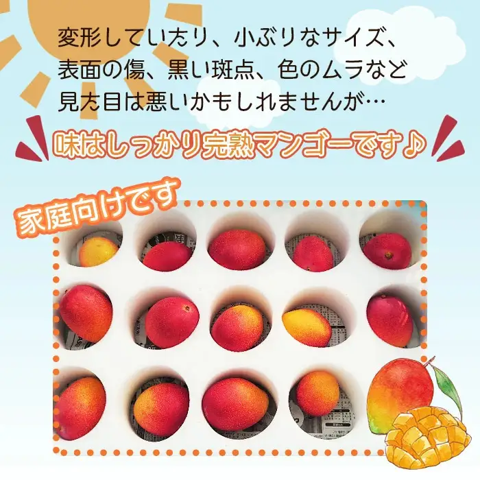 ＜宮崎県産完熟マンゴー｢家庭用｣(約1.5kg)＞ 果物 フルーツ マンゴー くだもの 特産品 完熟 国産 ご家庭用 宮崎県 高鍋町【冷蔵】