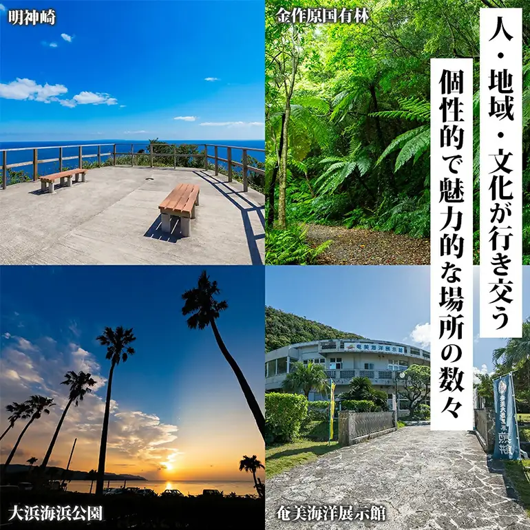 【奄美大島ツアー】後から選べる旅行Webカタログで使える!旅行クーポン（300,000円分） A188-004