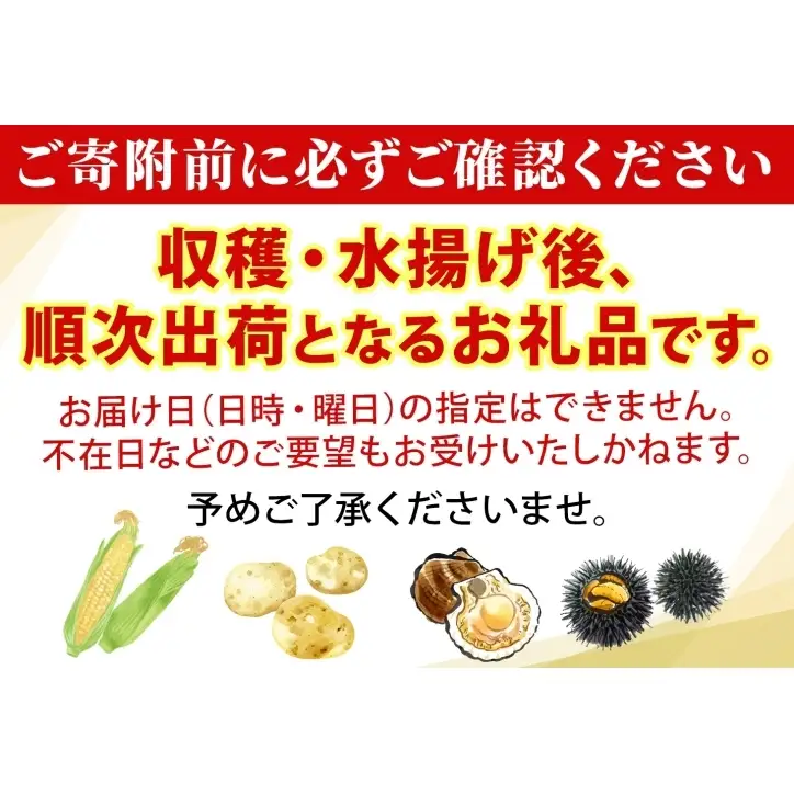 洞爺湖町産 訳あり 長芋 約10kg 2026年12月上旬から順次お届け 長いも