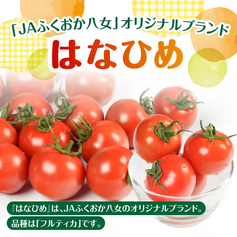 【先行予約】ミディトマト はなひめ 1kg 【JAふくおか八女】【2026年12月発送開始】 フルティカ はなひめ JAふくおか八女 皮やわらかい 食べやすい 大玉トマト 高満足度 リコピン ヘルシー 人気 ブランドトマト 002-025