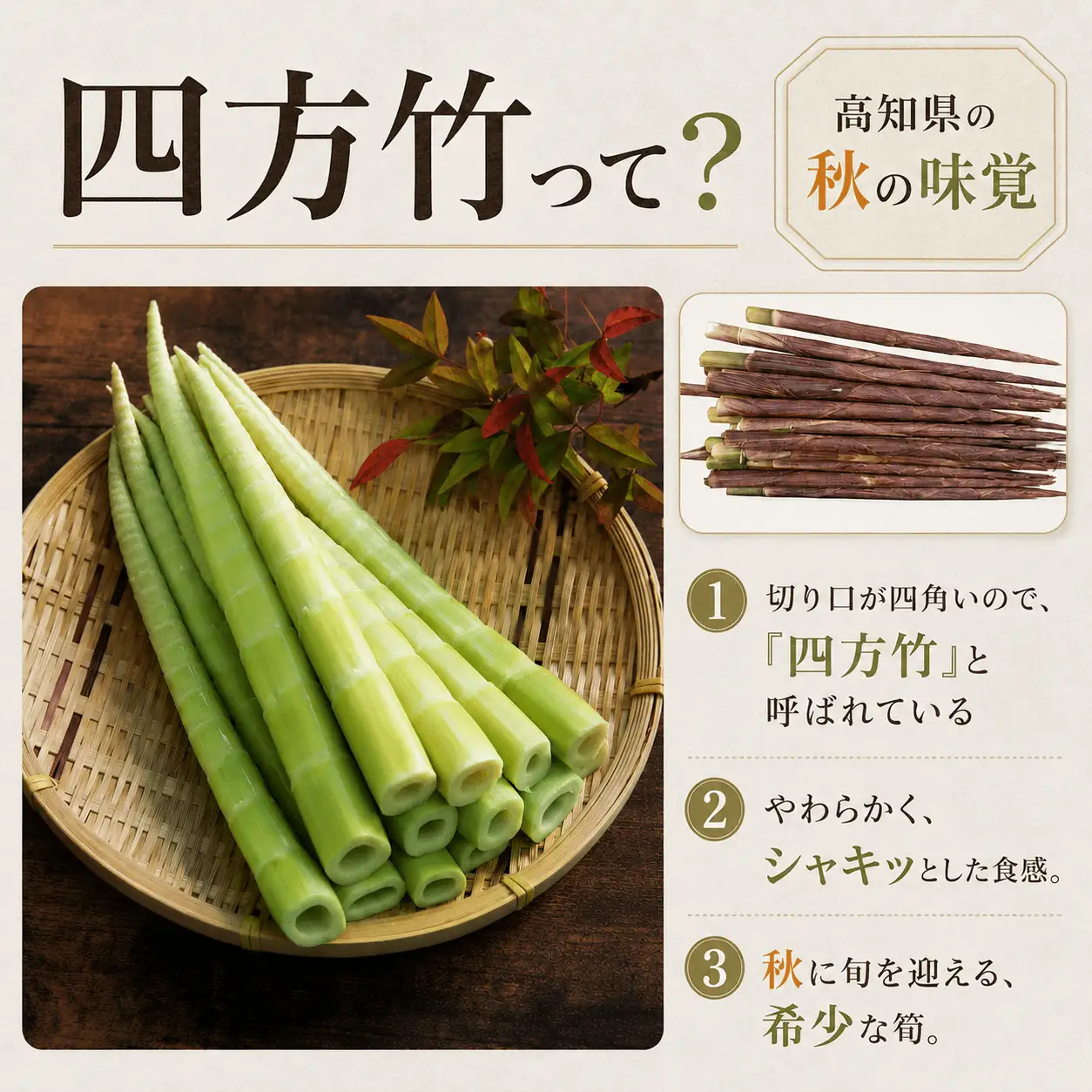 【9月まで 受付限定】 国産 四方竹 水煮 120g × 4袋 (2026年11月～発送) | シホウチク 筍 たけのこ 特産 珍味 希少 高知 南国市