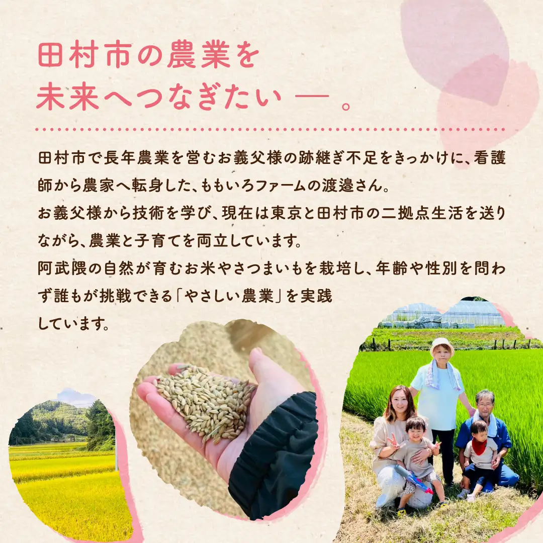 【令和7年産】 ひとめぼれ 3kg お米 一等米 白米  贈答 米 コメ ご飯 単一米 精米 生活応援 福島県 田村市 ももいろファーム