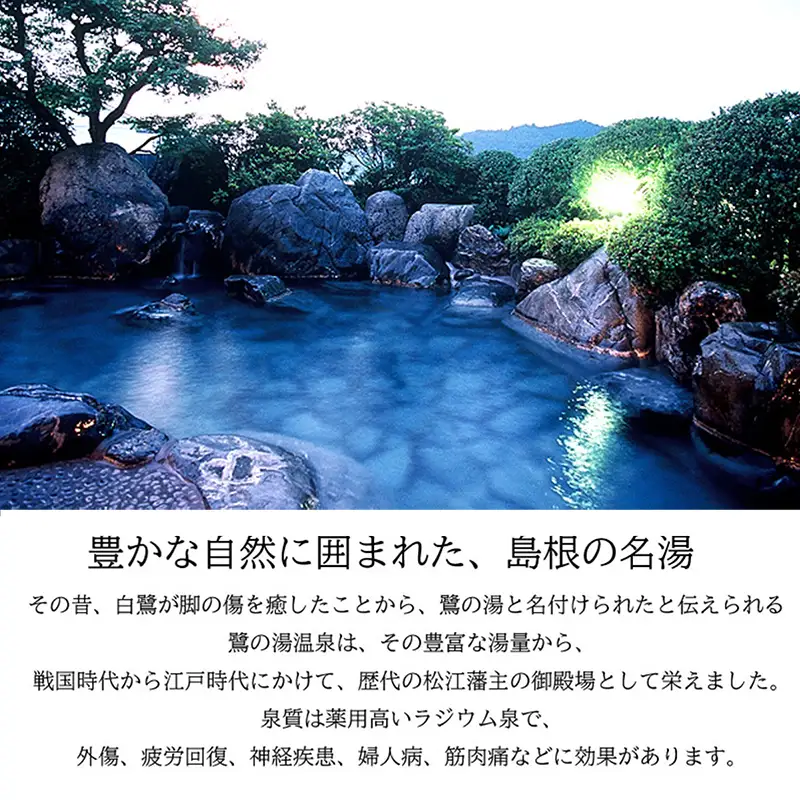 さぎの湯荘　ご宿泊券　60,000円分【宿泊券 温泉 源泉かけ流し 露天風呂 チケット 創業100年 田園風景 宿泊 旅行 くつろぎ 贅沢 癒し リフレッシュ ご褒美 ギフト 自分用 島根県 安来市 】【200-SY-05】