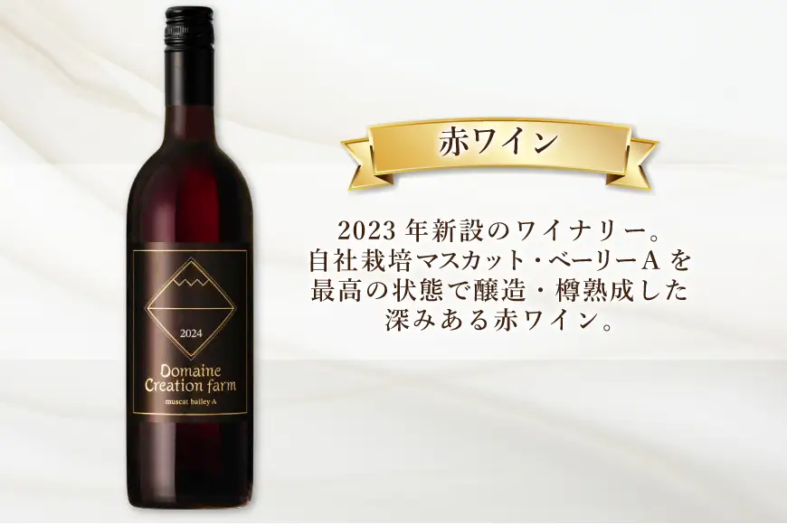 ワイン 3回 定期便 赤 赤ワイン マスカット・ベーリーA 白ワイン 甲州 各750ml 計2本 1500ml