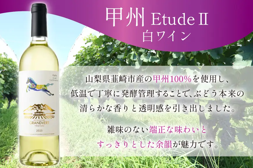 酒 ワイン エチュード ll ＆ ロゼ サクラ メルロー 750ml 2本 セット