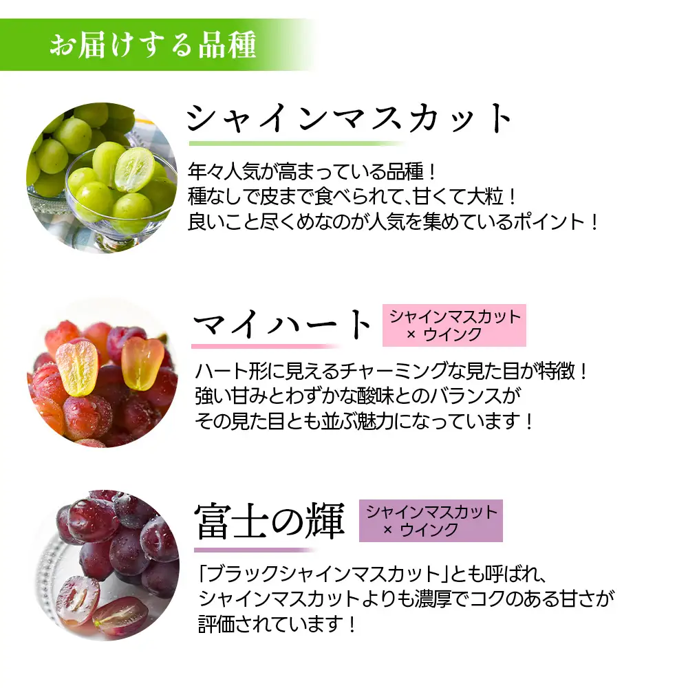 ぶどう シャインマスカット ＆ マイハート ＆ 富士の輝 約1.8kg