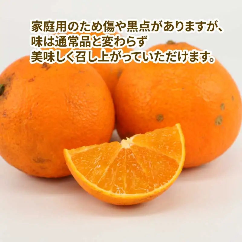愛果28号 ( 紅まどんな と同品種) 4kg 家庭用 協徳ガーデン 紅まどんな B024-178012