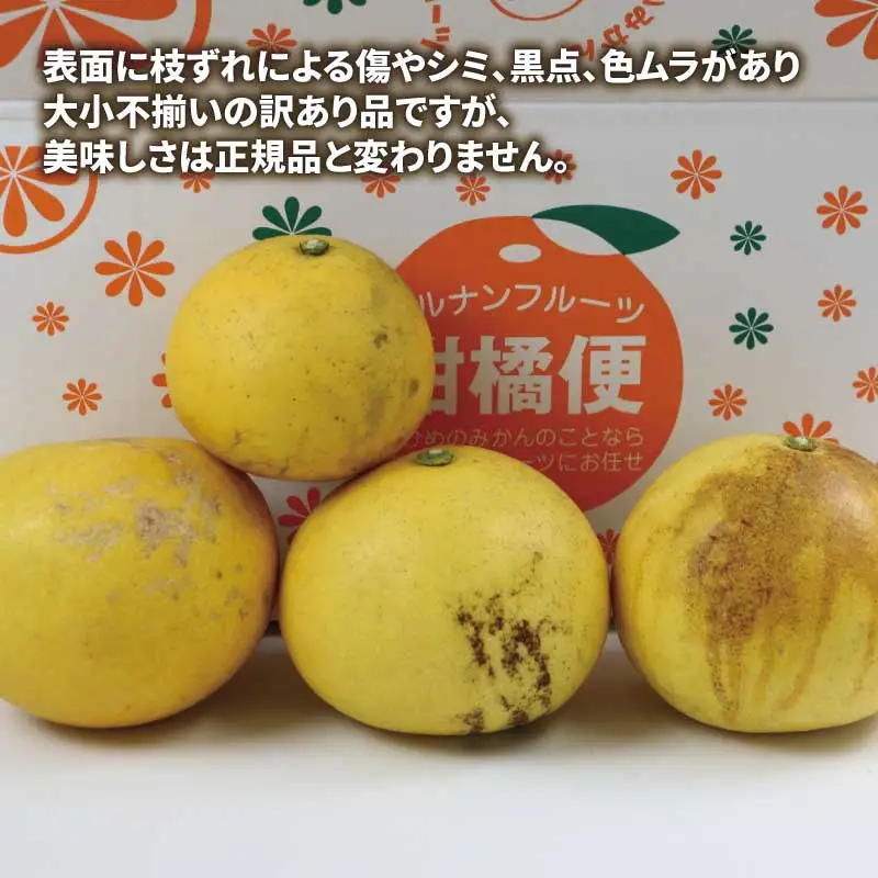 訳あり 文旦 10kg マル南フルーツ 文旦 B010-106038