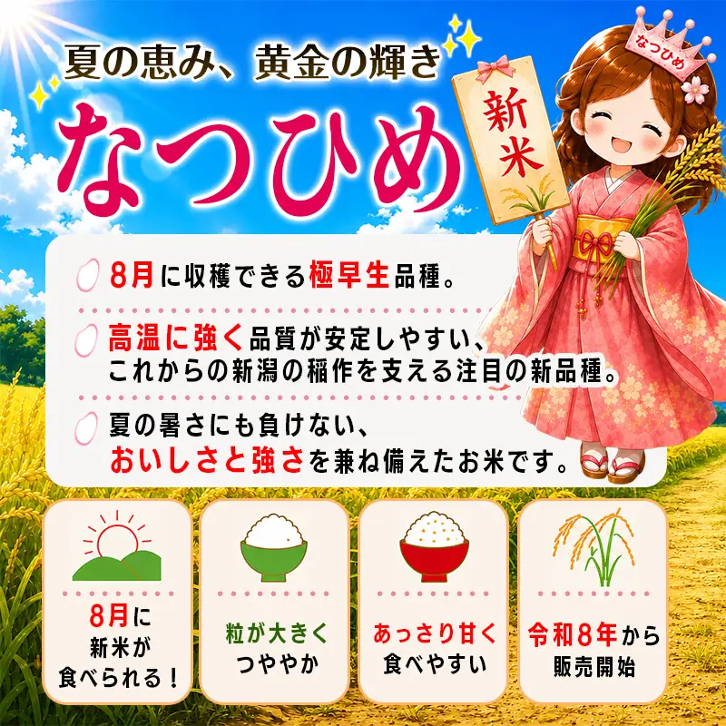先行予約 令和8年産 新米 新潟県産『なつひめ』5kg 2026年産 あぐ里能生【新潟県 糸魚川市 米 お米 こめ コメ ご飯 ライス ふるさと納税米 ブランド米 おすすめ ギフト 5キロ 白米 大粒米 新品種 極早生】