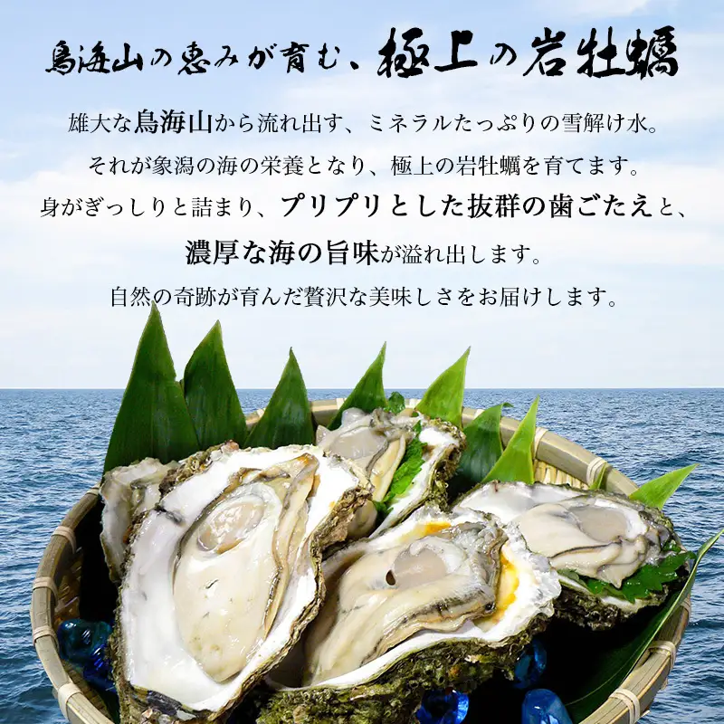 《ナイフ付》 生食用 殻付き 象潟産 天然 岩牡蠣 10個 約3kg 300～400g/個 直径10cm 岩ガキ 冷蔵 濃厚 新鮮 殻剥きナイフ付 贈り物 ギフト お取り寄せ 日本海 産地直送 秋田県 にかほ市 マルイチ水産