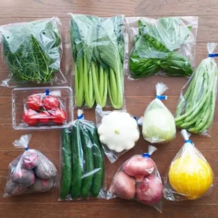 おまかせ野菜セット(2026年7月上旬～発送予定)【配送不可地域：離島】【1749867】