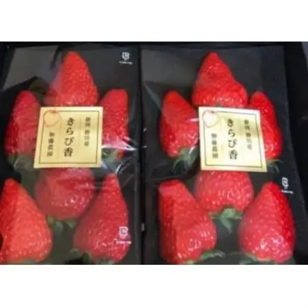【2027年先行受付】いちご【きらぴ香】1箱 (1箱4パック入り 約250g×4)【配送不可地域：離島・北海道・沖縄県・四国・九州】【1634075】